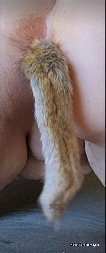 Bidrag av NorwayCat